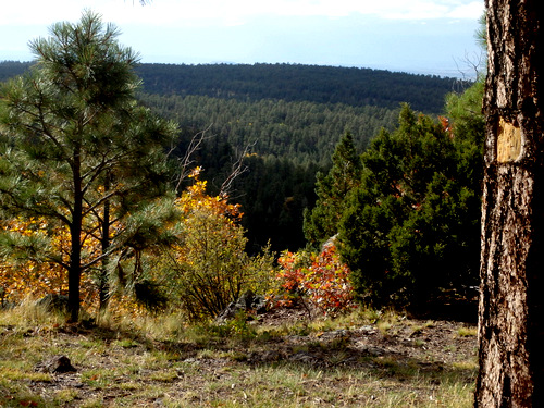 GDMBR: Felipe-Tafoya Land Grant to San Mateo Spring.
